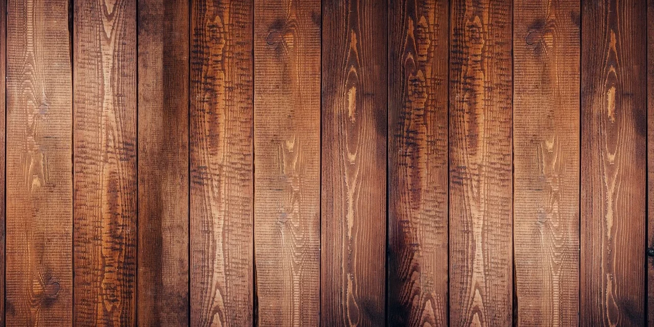 Varnish Schellak