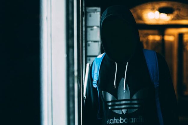 betekenis pseudonimiseren