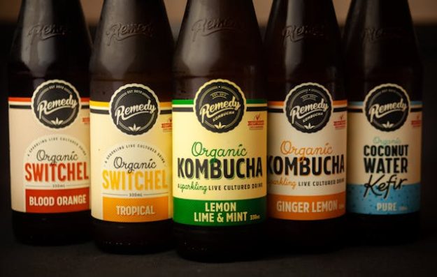 betekenis kombucha