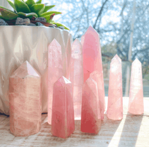 Rozenkwarts in huis