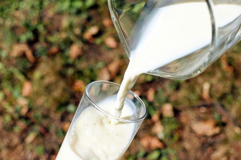 lactose lactose