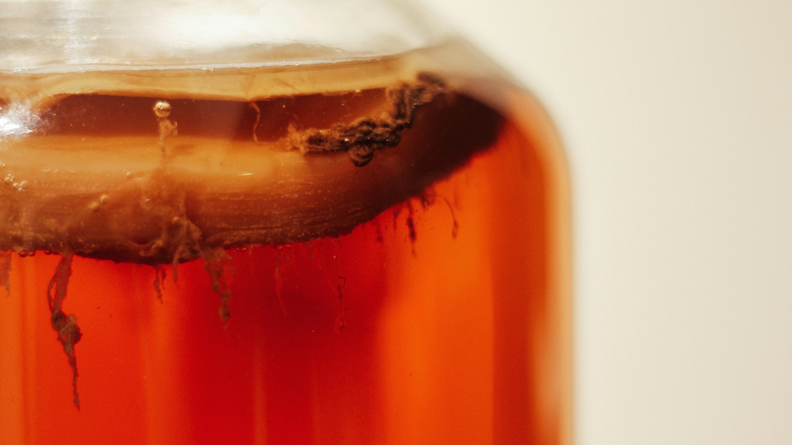 zelf komboecha maken