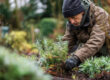Tuinier verzorgt beplanting langs een groenblijvende haag voor een nette en onderhoudsvriendelijke tuin