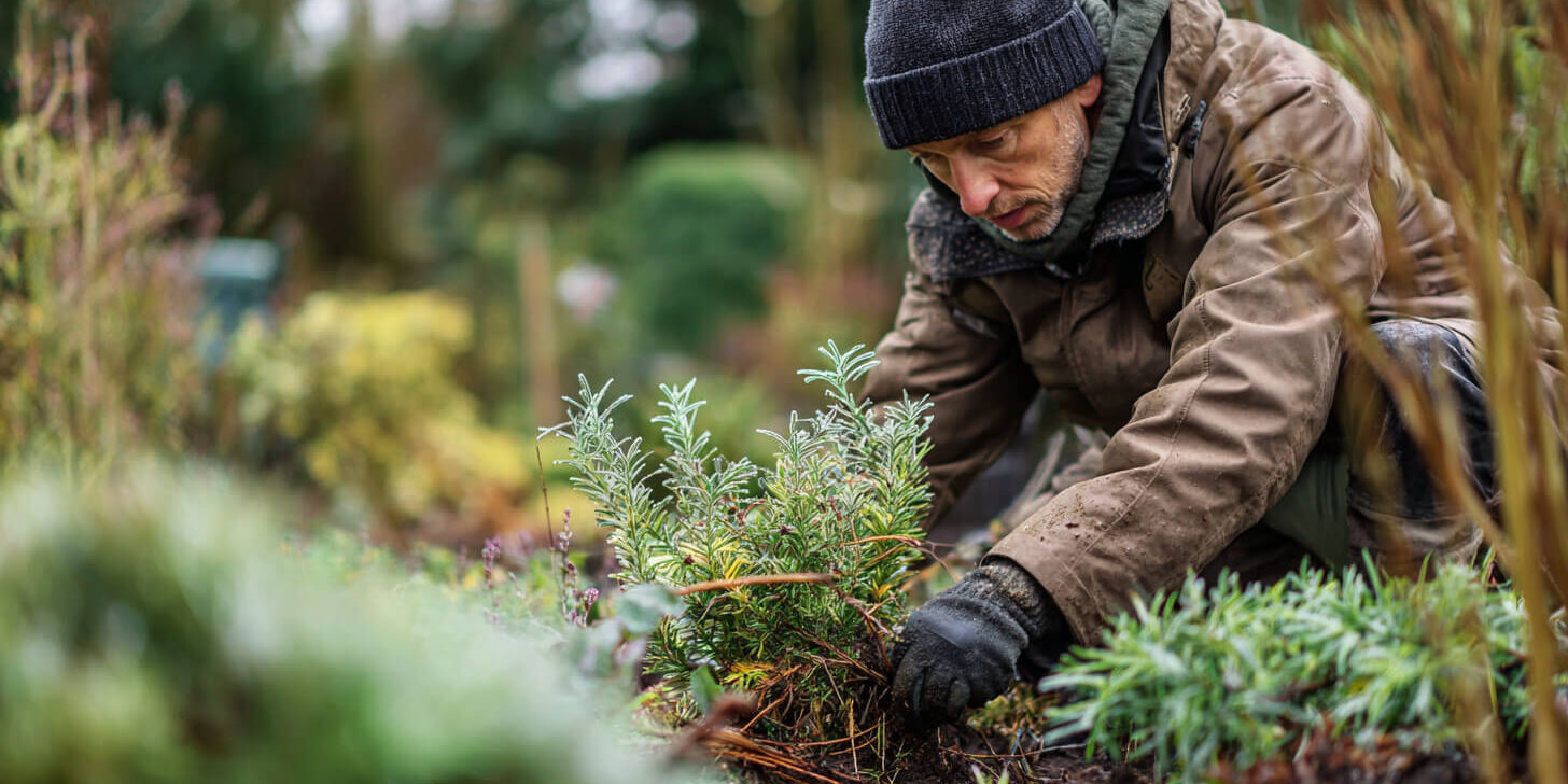 Tuinier verzorgt beplanting langs een groenblijvende haag voor een nette en onderhoudsvriendelijke tuin